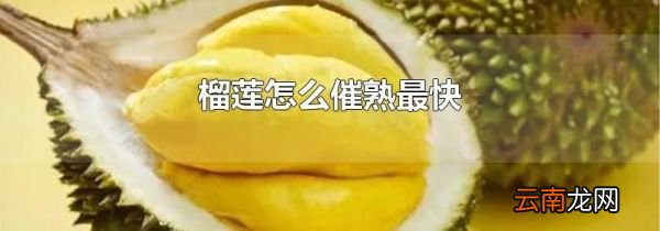 榴莲怎么催熟最快