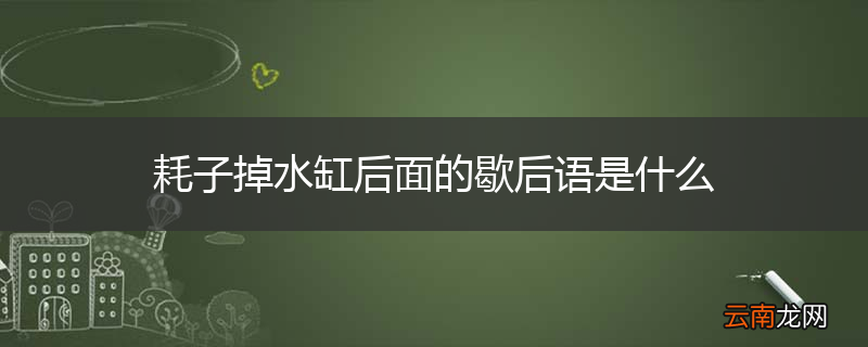 耗子掉水缸后面的歇后语是什么