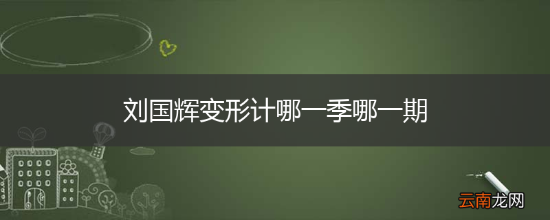 刘国辉变形计哪一季哪一期
