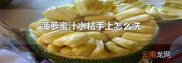 菠萝蜜汁水粘手上怎么洗