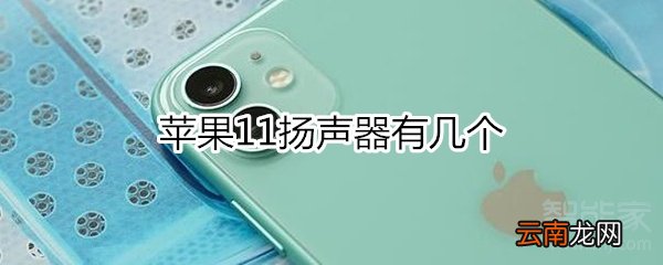 苹果11扬声器几个