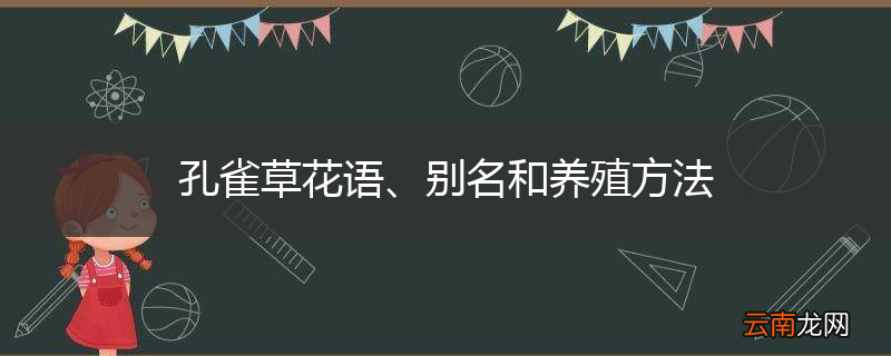 孔雀草花语、别名和养殖方法