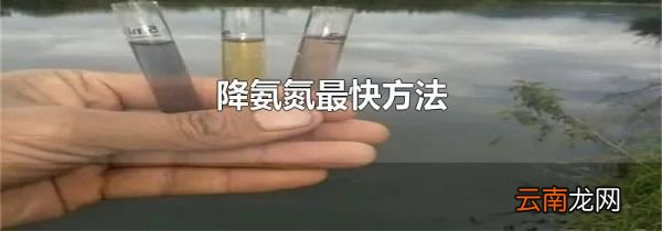 降氨氮最快方法
