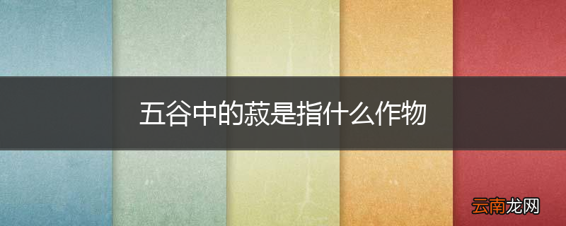 五谷中的菽是指什么作物