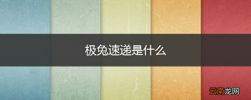 极兔速递是什么