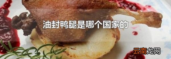 油封鸭腿是哪个国家的
