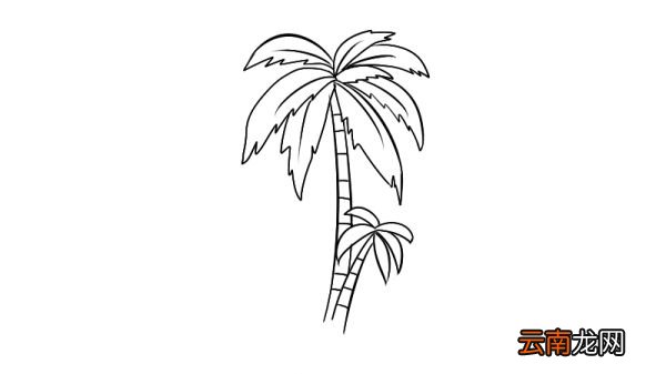 椰树简笔画