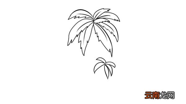 椰树简笔画
