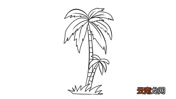 椰树简笔画