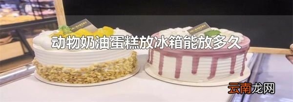 动物奶油蛋糕放冰箱能放多久