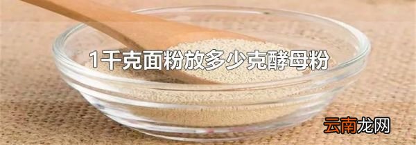 1千克面粉放多少克酵母粉