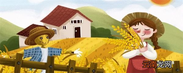 什么是我们的衣食之源 什么是我们的衣食之源生存之本