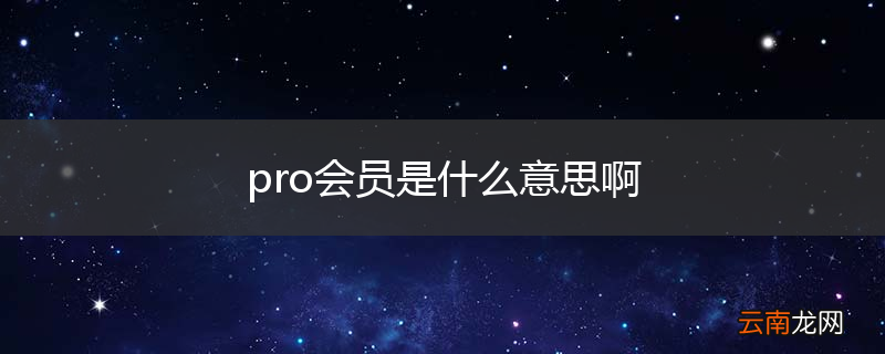 pro会员是什么意思啊