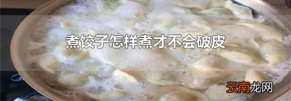 煮饺子怎样煮才不会破皮
