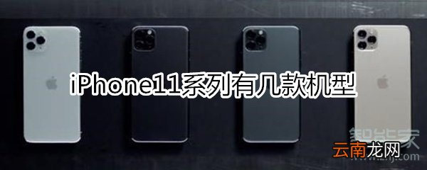 苹果11有几款