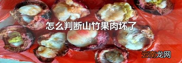 怎么判断山竹果肉坏了