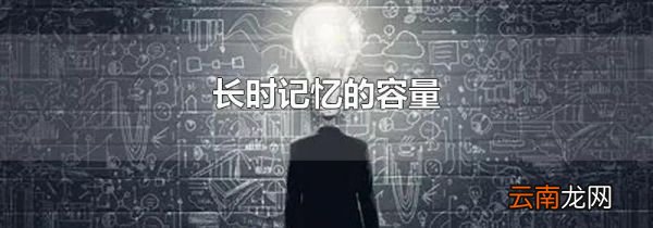 长时记忆的容量