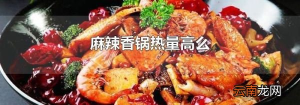麻辣香锅热量高么