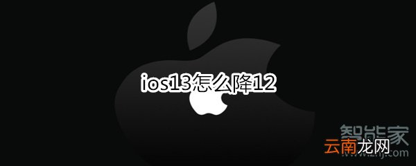 ios13怎么降12