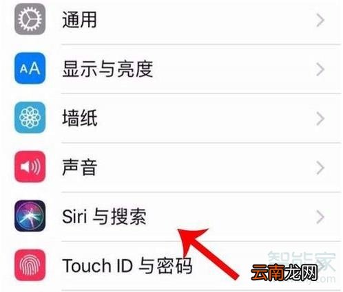 苹果11语音唤醒功能在哪