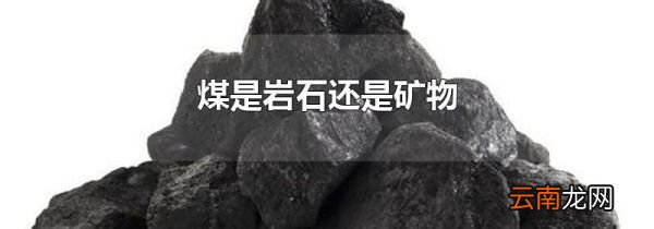 煤是岩石还是矿物