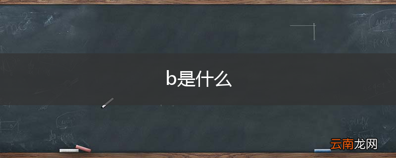 b是什么