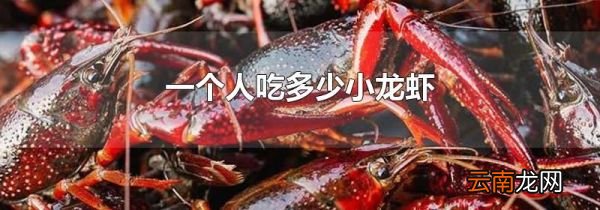 一个人吃多少小龙虾