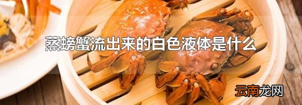 蒸螃蟹流出来的白色液体是什么