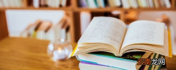 是殆天所以资将军 殆的翻译 此殆天所以资将军翻译是什么意思