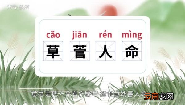 草菅人命的意思 草菅人命什么意思
