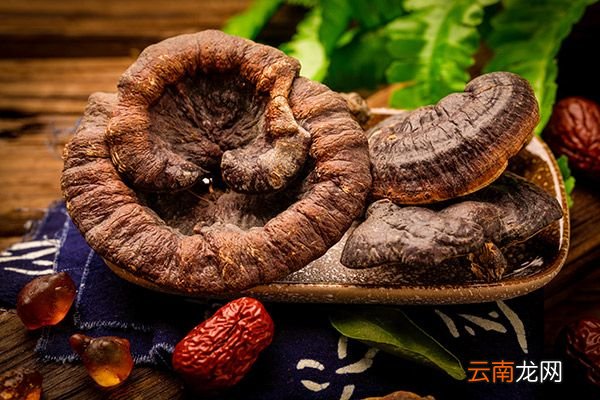 灵芝泡酒的功效与作用 灵芝泡酒的禁忌
