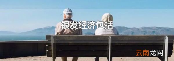 银发经济包括