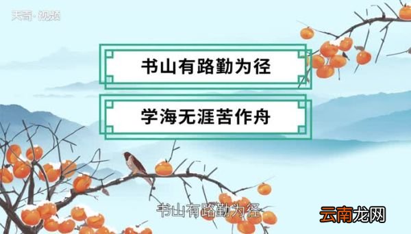 学海无涯苦作舟上一句 学海无涯苦作舟的上一句是什么