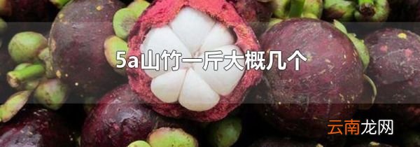5a山竹一斤大概几个