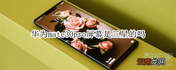 华为mate30pro屏幕是三星的吗