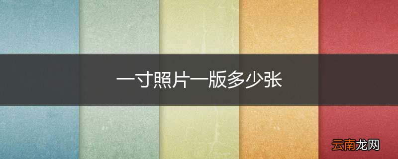 一寸照片一版多少张
