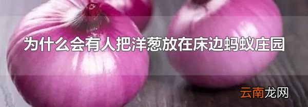 为什么会有人把洋葱放在床边蚂蚁庄园