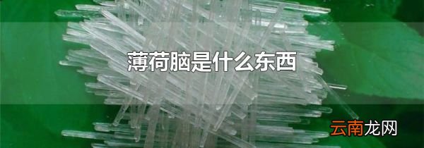 薄荷脑是什么东西