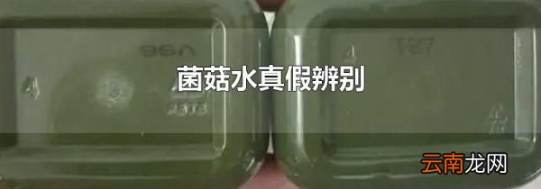 菌菇水真假辨别