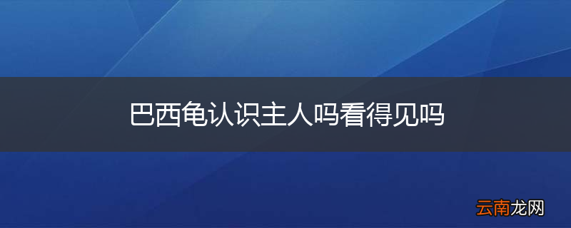 巴西龟认识主人吗看得见吗