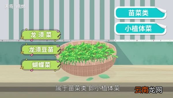 豌豆出芽可以吃么 出芽的豌豆可以吃吗