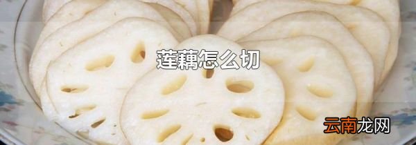 莲藕怎么切