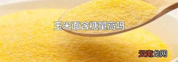 玉米面含糖量高吗