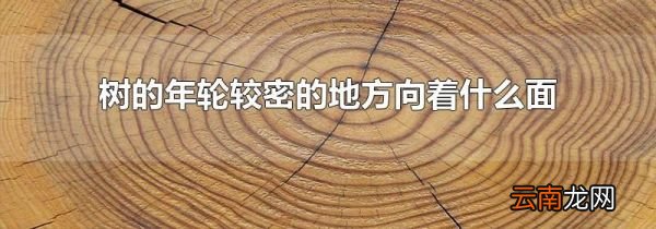 树的年轮较密的地方向着什么面