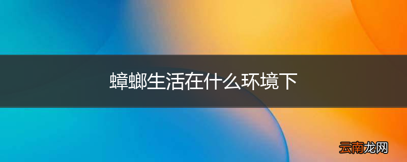 蟑螂生活在什么环境下