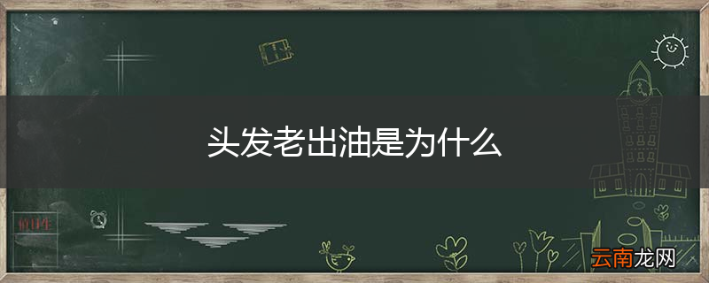 头发老出油是为什么