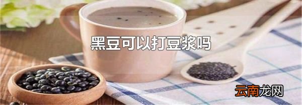 黑豆可以打豆浆吗