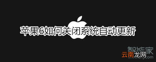 苹果6如何关闭系统自动更新