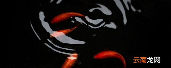 庄子与惠子游于濠梁之上主旨 庄子与惠子游于濠梁之上的主旨是什么