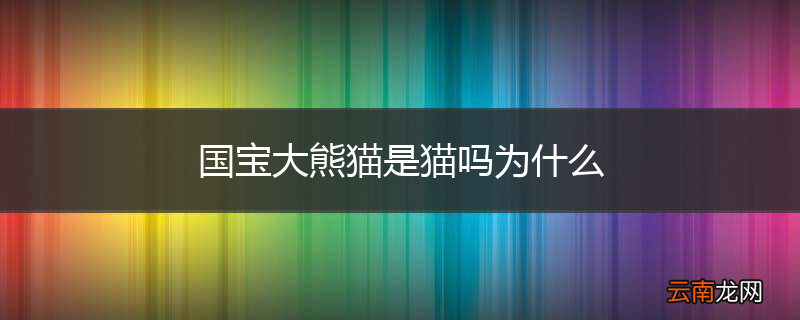 国宝大熊猫是猫吗为什么
